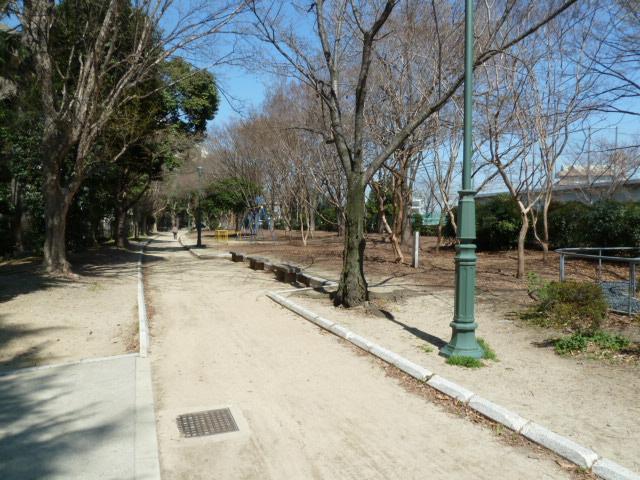 シエリア茨木東中条　桜通り（春になると桜が満開です）約200ｍ